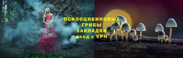 2c-b Алексеевка