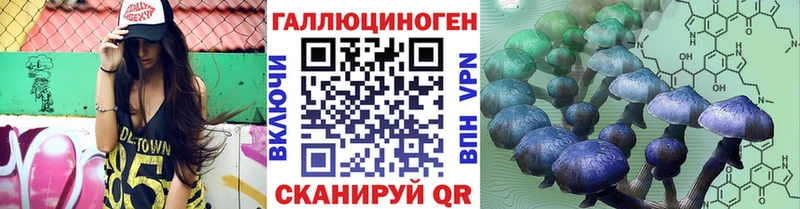 Псилоцибиновые грибы Cubensis  Палласовка 